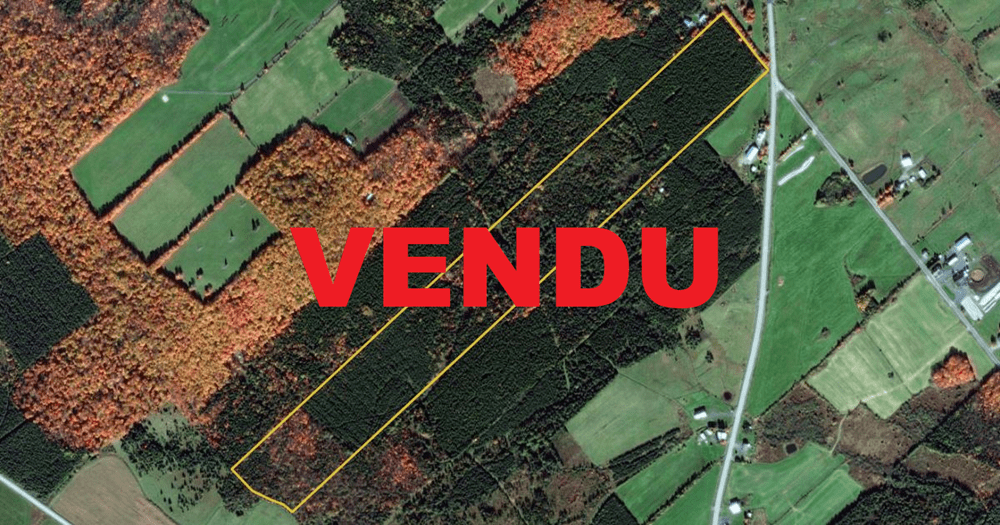 VENDU À STEPHREMDEBEAUCE